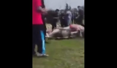 Tepki Yağıyor! Atına Sopa ve Tekmeyle Saldırdı