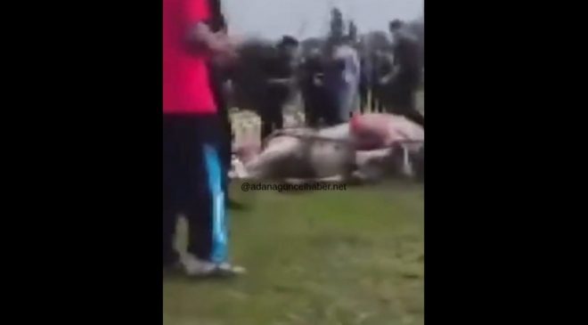 Tepki Yağıyor! Atına Sopa ve Tekmeyle Saldırdı
