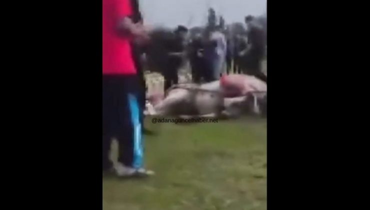 Tepki Yağıyor! Atına Sopa ve Tekmeyle Saldırdı