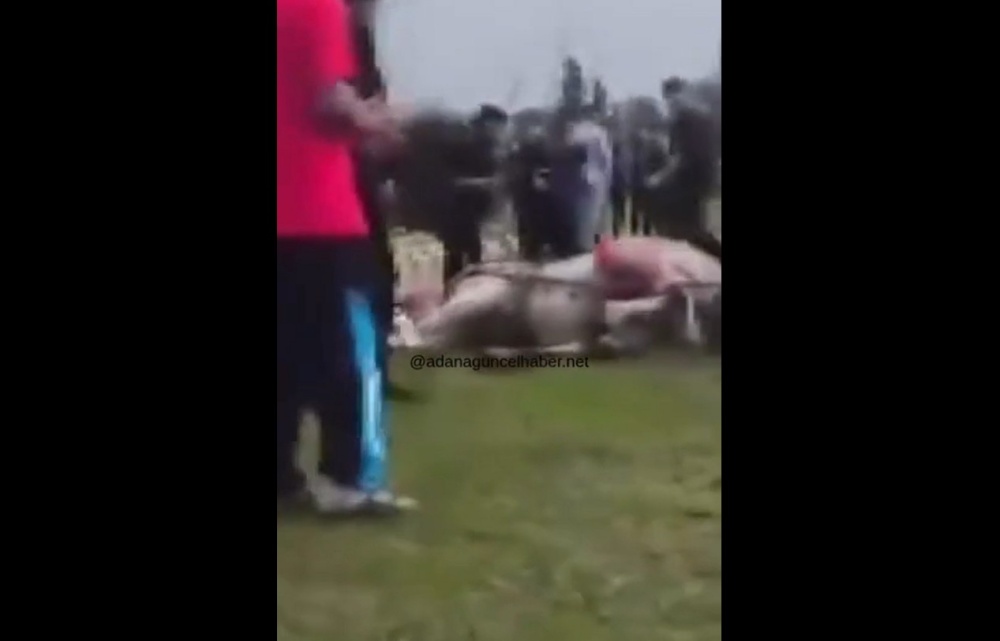 Tepki Yağıyor! Atına Sopa ve Tekmeyle Saldırdı