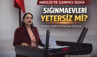 Kadına Şiddet Artıyor, Sığınmaevi Sayısı Yerinde Sayıyor