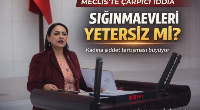Kadına Şiddet Artıyor, Sığınmaevi Sayısı Yerinde Sayıyor