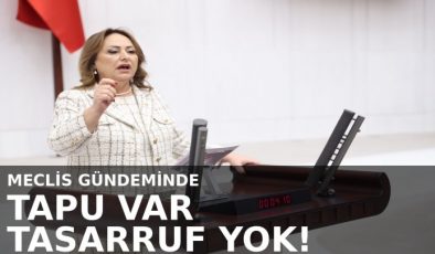 CHP’li Şevkin’den Paylı Mülkiyet Sorunu İçin Meclis Araştırması Talebi