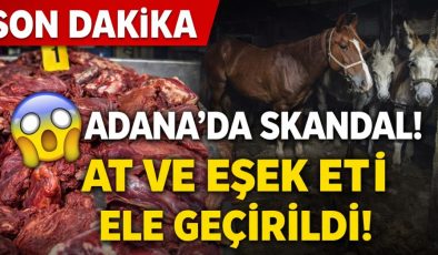 Mideleri Bulandıran Operasyon! Adana’da At-Eşek Eti Skandalı
