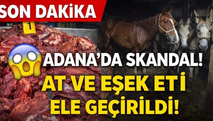 Mideleri Bulandıran Operasyon! Adana’da At-Eşek Eti Skandalı