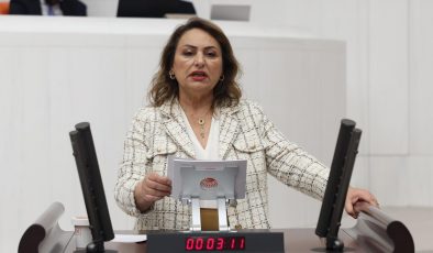 Şevkin, “Cinayetlerin çözüm adresi meclistir”