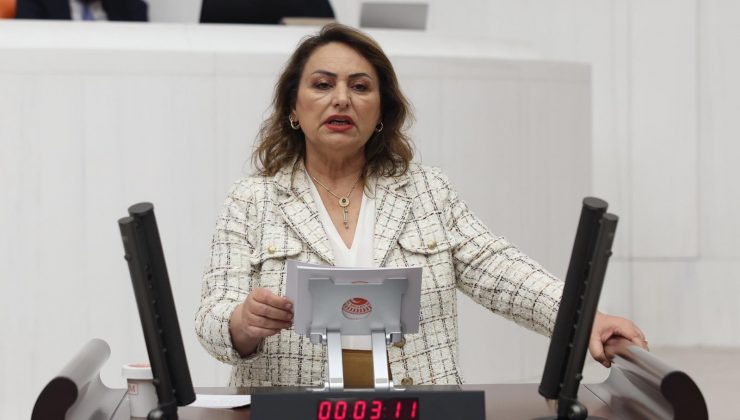 Şevkin, “Cinayetlerin çözüm adresi meclistir”