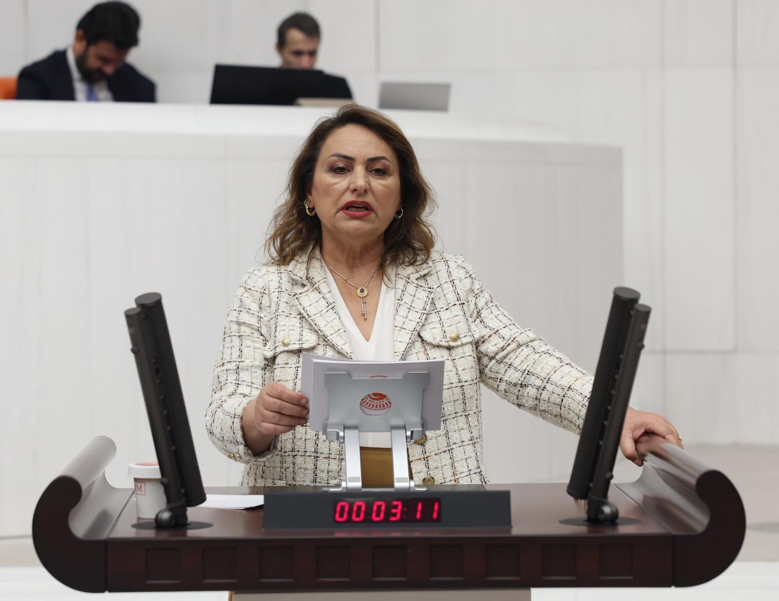 Şevkin, “Cinayetlerin çözüm adresi meclistir”